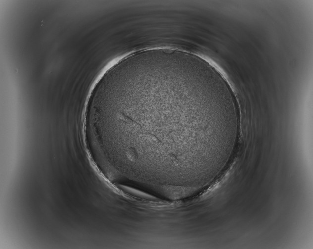 X0000086760949200704201742