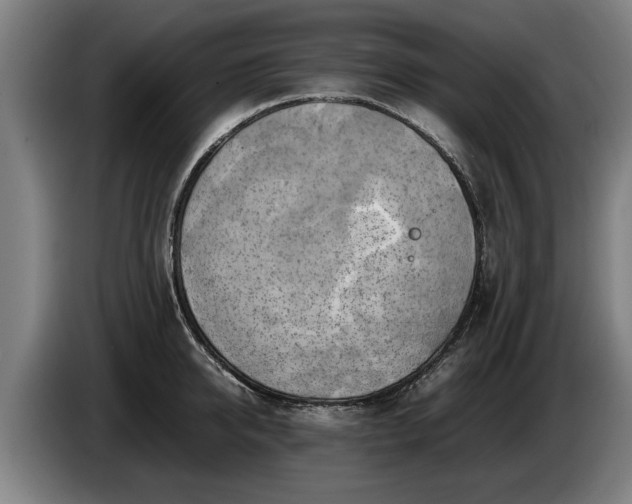X0000086760950200704201742