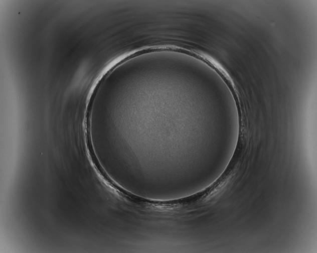X0000086760951200704201742