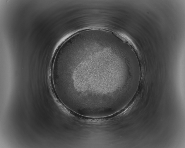 X0000086760952200704201742