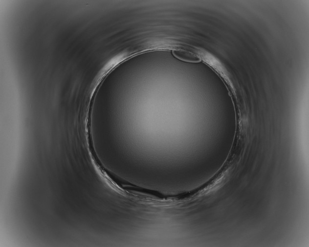 X0000086760954200704201742