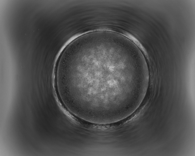 X0000086760955200704201742