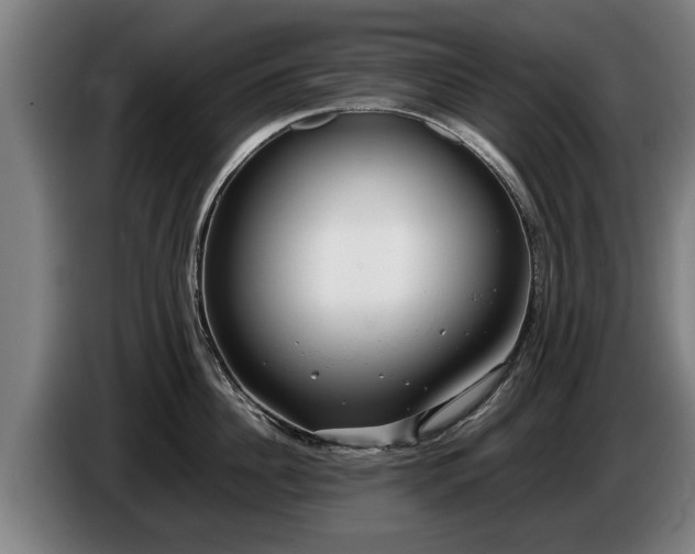 X0000086760956200704201742