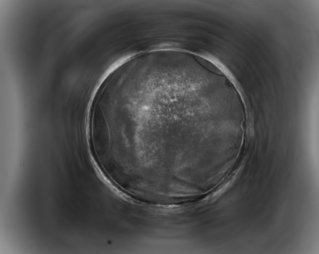 X0000086760957200704201742