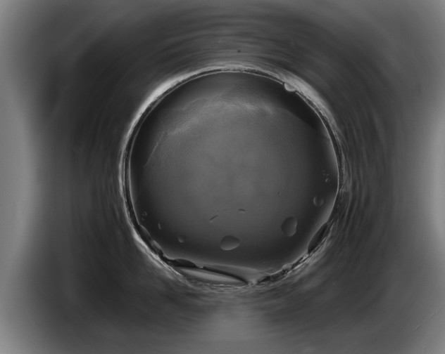 X0000086760958200704201742