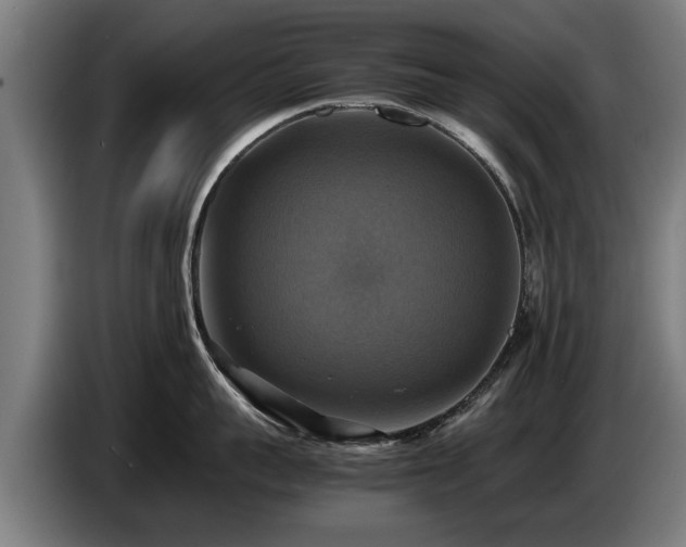 X0000086760959200704201742