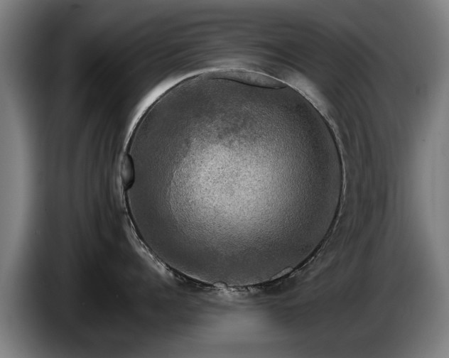 X0000086760960200704201742