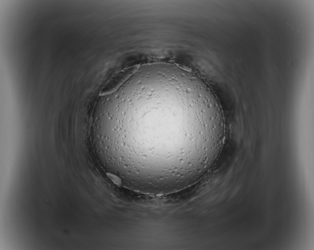 X0000086760961200704201742