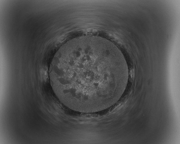X0000086760963200704201742
