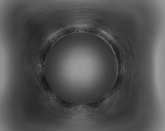 X0000086760966200704201742