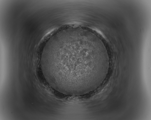 X0000086760967200704201742