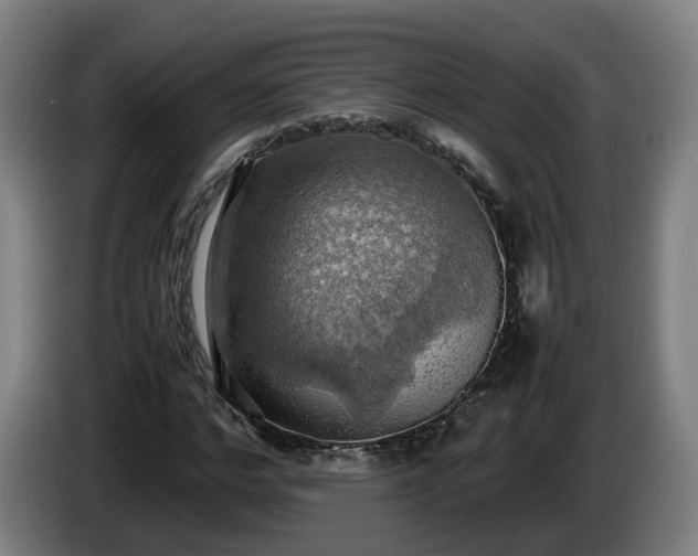 X0000086760968200704201742