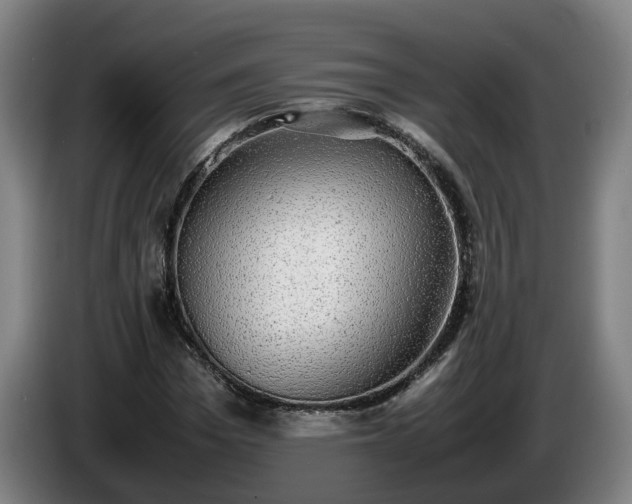 X0000086760969200704201742