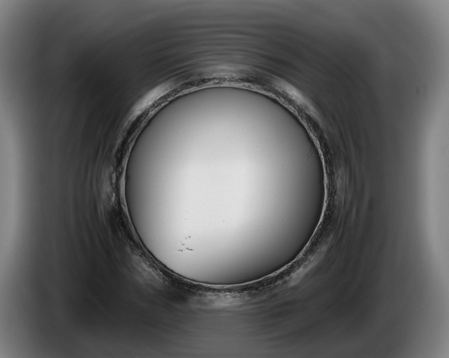 X0000086760970200704201742
