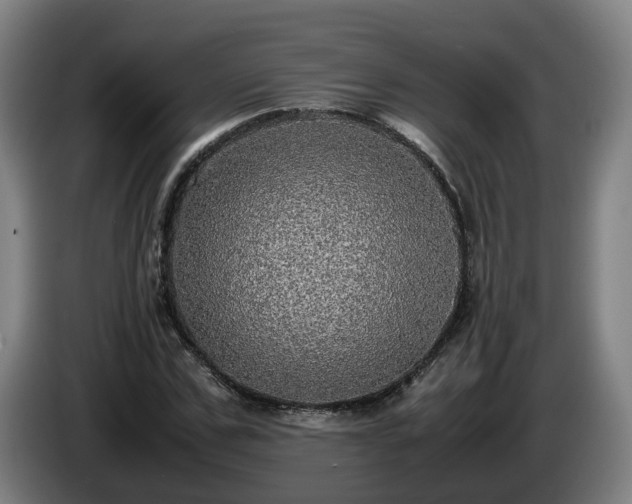 X0000086760971200704201742