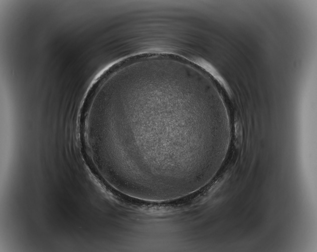 X0000086760972200704201742