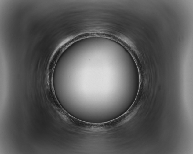 X0000086760974200704201742