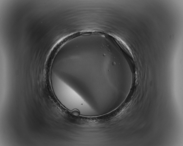 X0000086760975200704201742