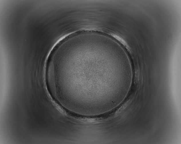 X0000086760976200704201742
