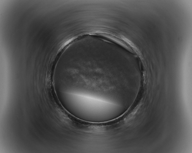 X0000086760977200704201742