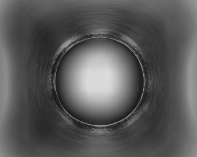 X0000086760978200704201742