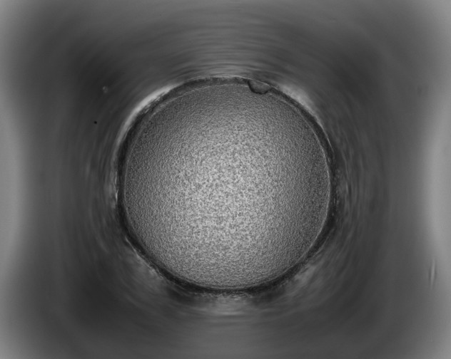 X0000086760979200704201742