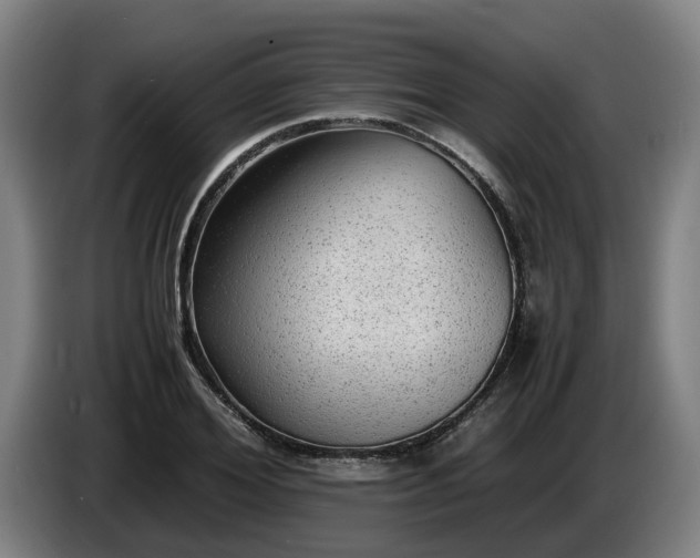 X0000086760980200704201742