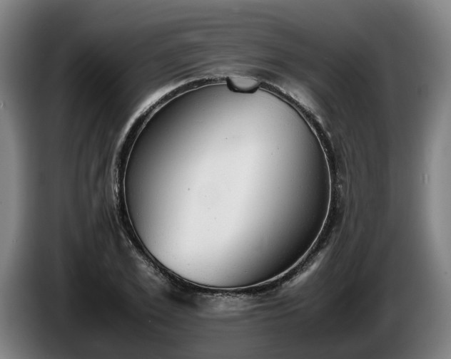 X0000086760981200704201742
