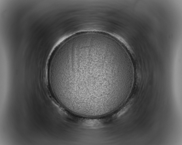 X0000086760982200704201742