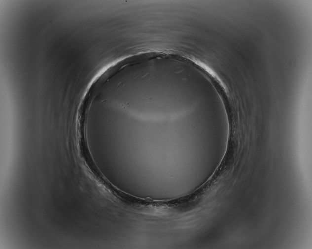 X0000086760983200704201742