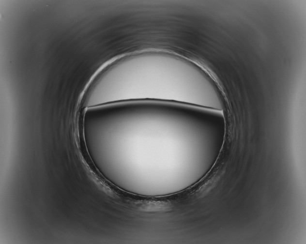 X0000086760984200704201742