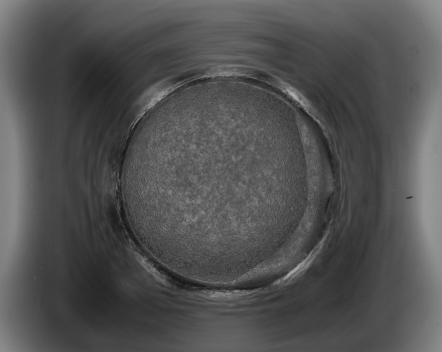 X0000086760985200704201742