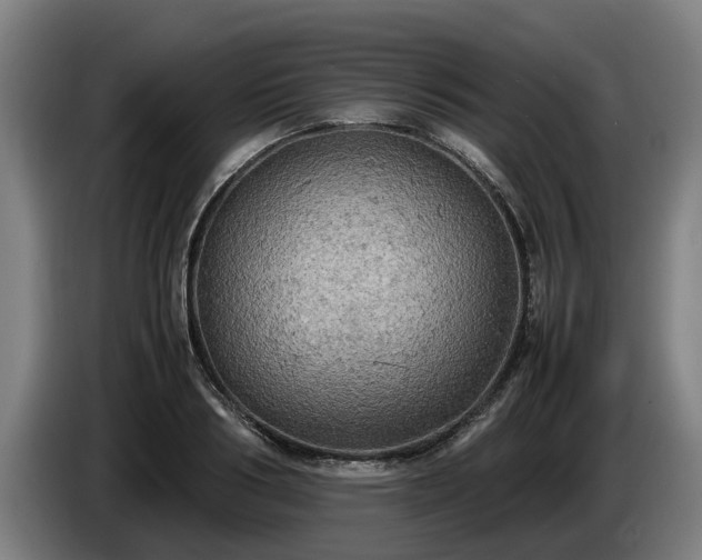 X0000086760986200704201742