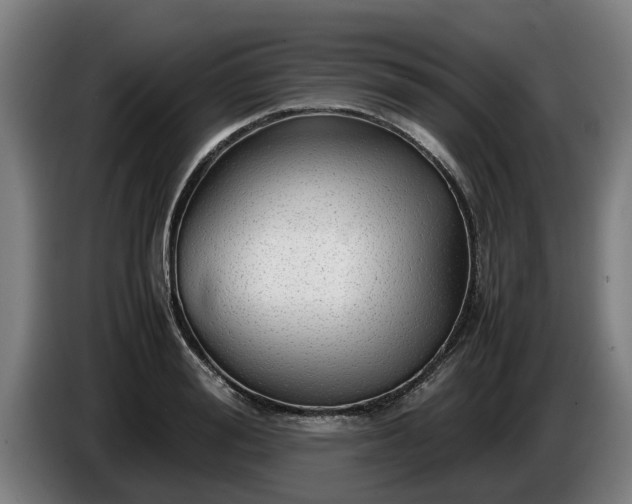 X0000086760988200704201742