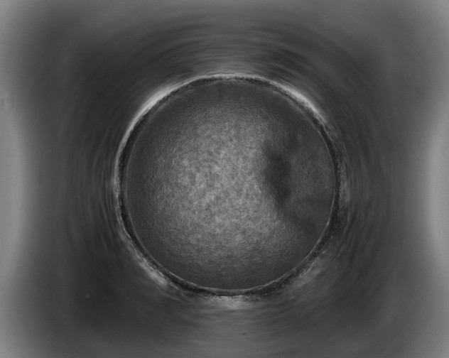 X0000086760990200704201741
