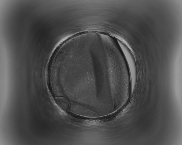 X0000086760991200704201741