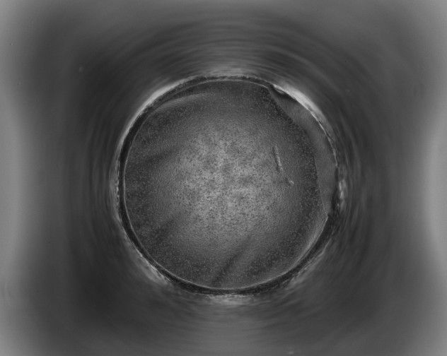 X0000086760992200704201741