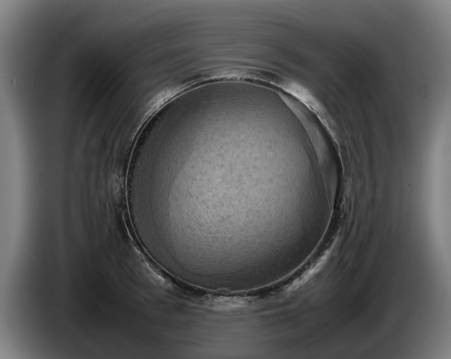 X0000086760993200704201741