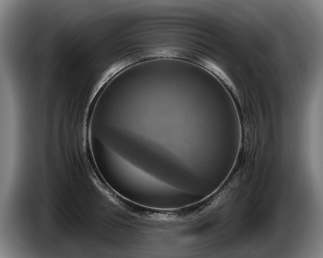 X0000086760994200704201741