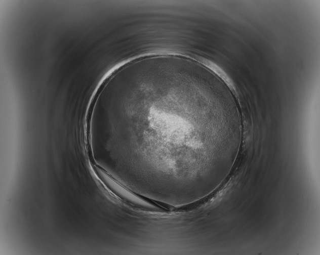X0000086760996200704201741