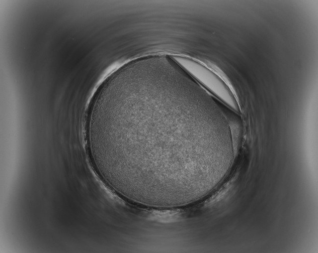 X0000086760997200704201741