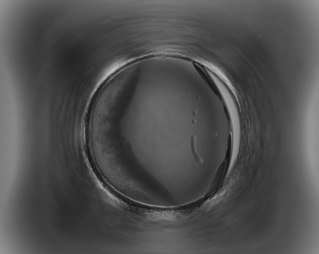 X0000086760999200704201741