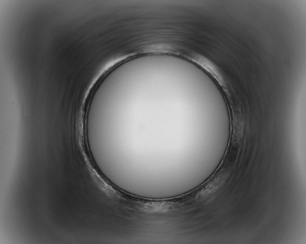 X0000086761000200704201741