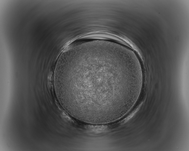 X0000086761001200704201741