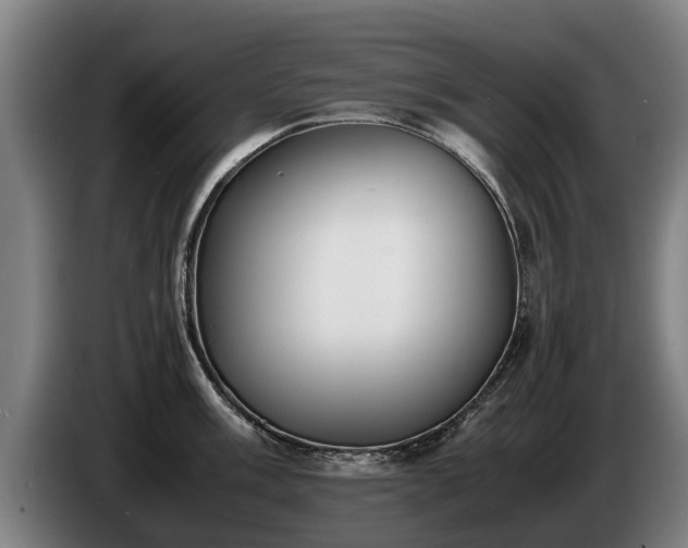 X0000086761003200704201741