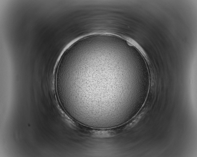 X0000086761004200704201741