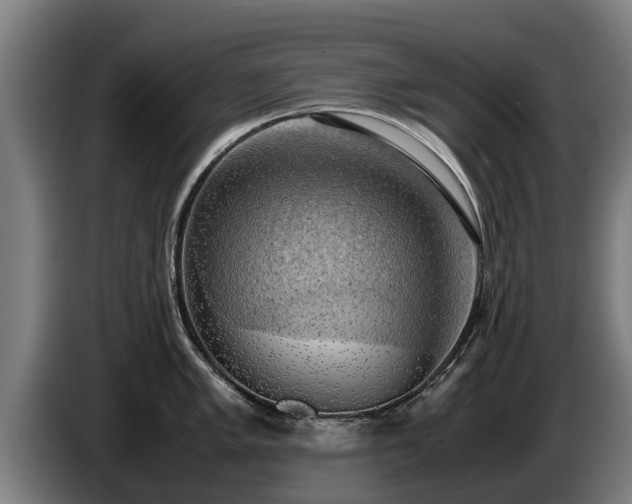 X0000086761005200704201741