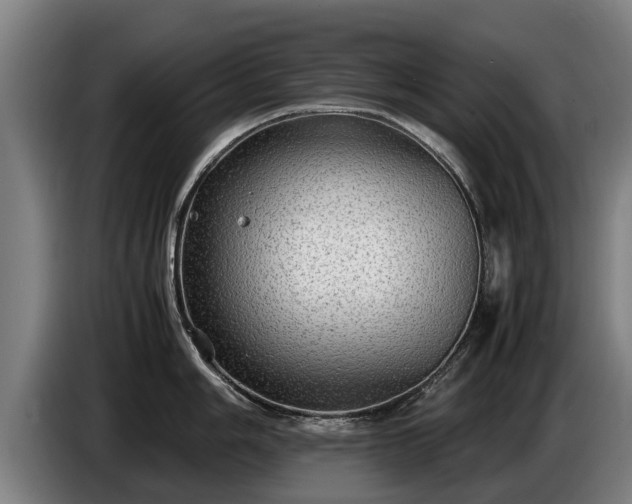 X0000086761006200704201741