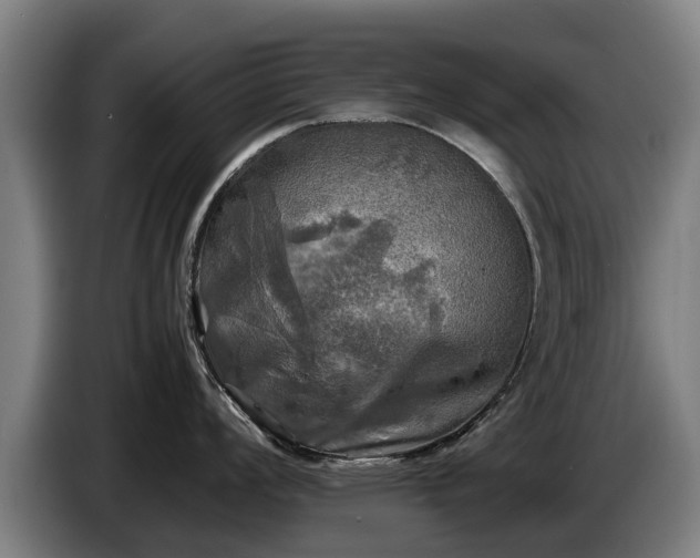 X0000086761008200704201741