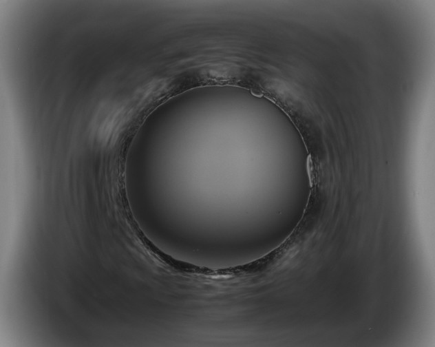 X0000086761009200704201741